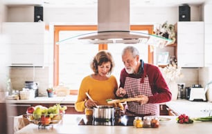 Senior couple preparing food in the kitchen. An old man and woman inside the house.