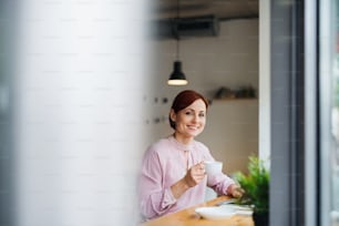 A portrait of attractive woman with coffee sitting at the table in a cafe, using laptop.