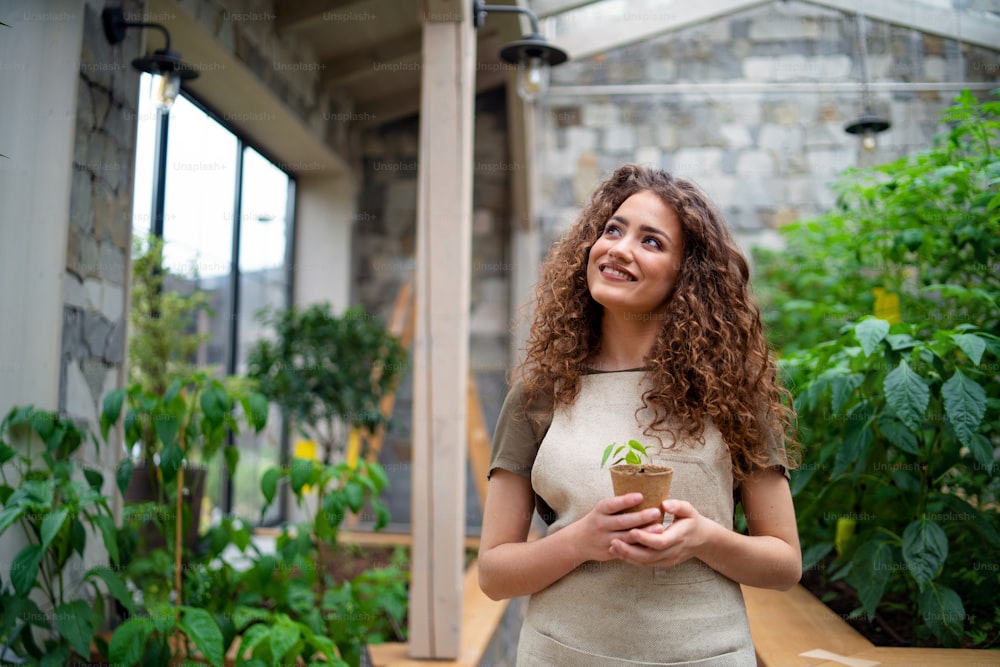 Portrait of woman gardener standing in greenhouse, holding small plant.