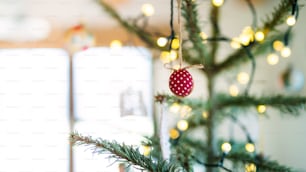 Diy red ornament hanging on Christmas tree branch indoors at home. Copy space.