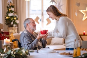 Mujer joven dando una taza de té al abuelo mayor en silla de ruedas en el interior de su casa en Navidad.