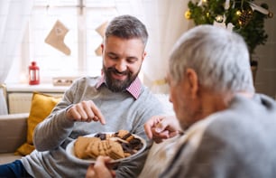 Porträt eines reifen Mannes und eines älteren Vaters, der zu Weihnachten zu Hause ist und Kekse isst.