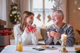 Retrato de una mujer joven con el abuelo en el interior de su casa en Navidad, bebiendo té.