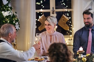 Multi-generation family indoors celebrating Christmas together, clinking glasses.