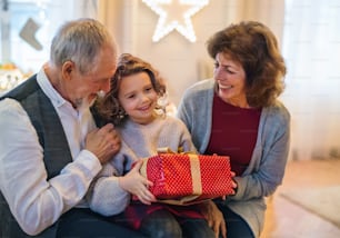 Front view of happy senior couple with small granddaughter indoors at Christmas, holding present.