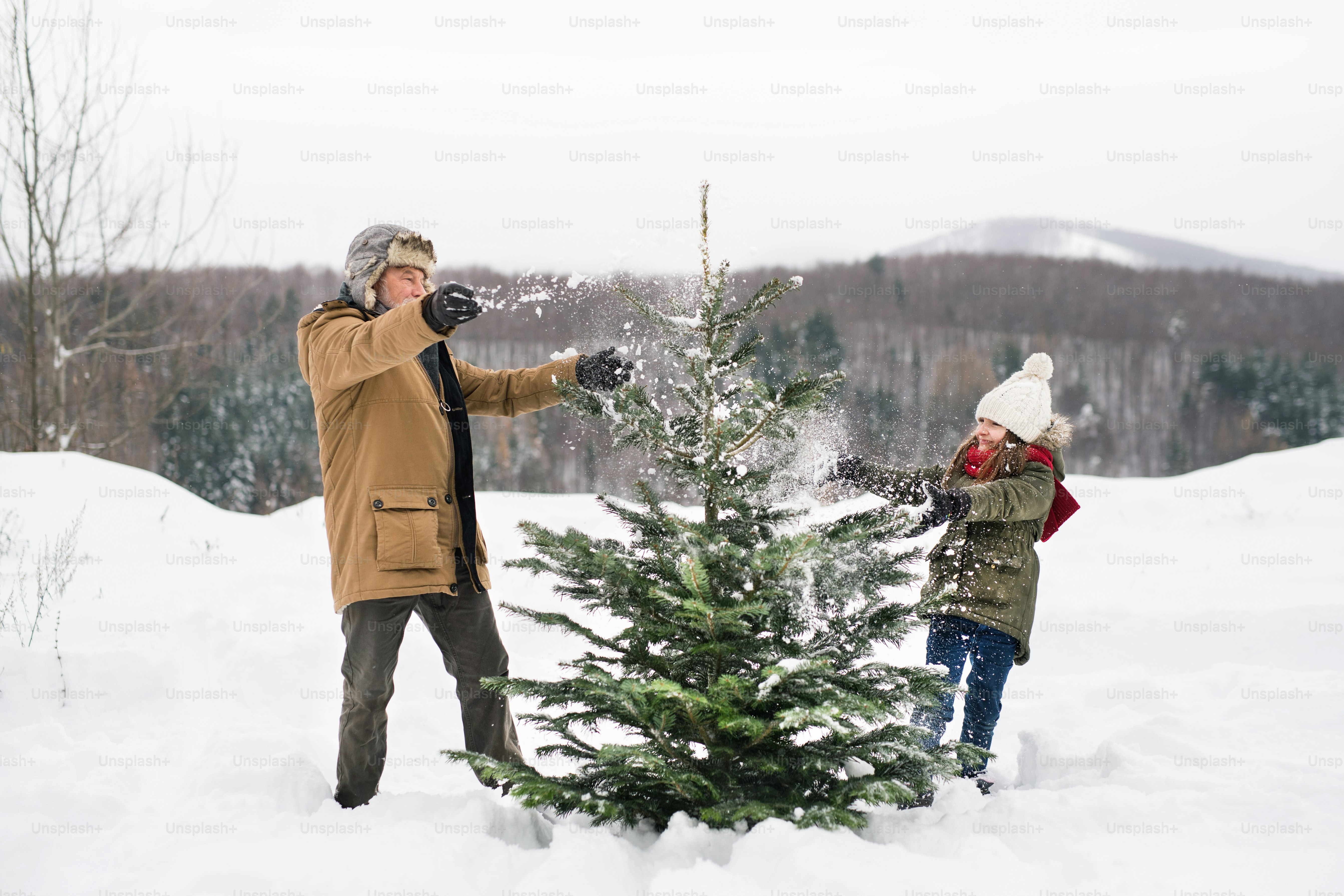 Weihnachtsgeschichte: Warum feiern wir Weihnachten wirklich? Der 