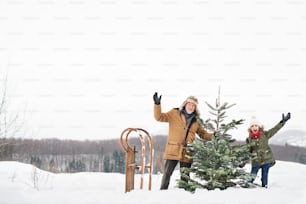 Grandfather and a small girl getting a Christmas tree in forest, having fun. Winter day.