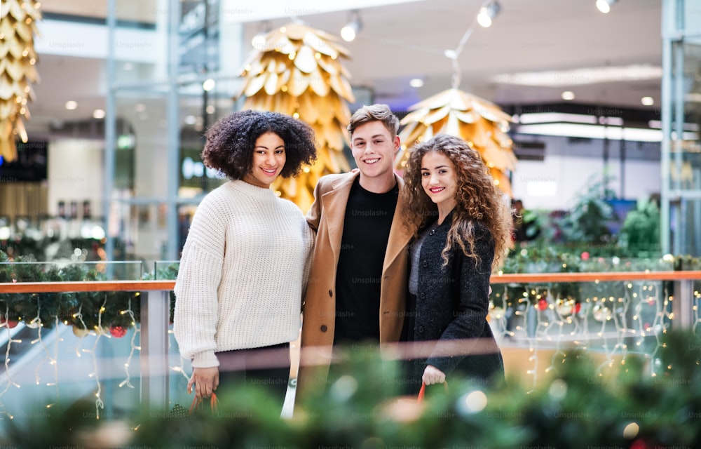 Retrato de jovens amigos em pé no centro comercial na época do Natal.