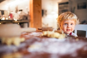 家でジンジャーブレッドクッキーを作る幼児の男の子。クリスマスの時期。
