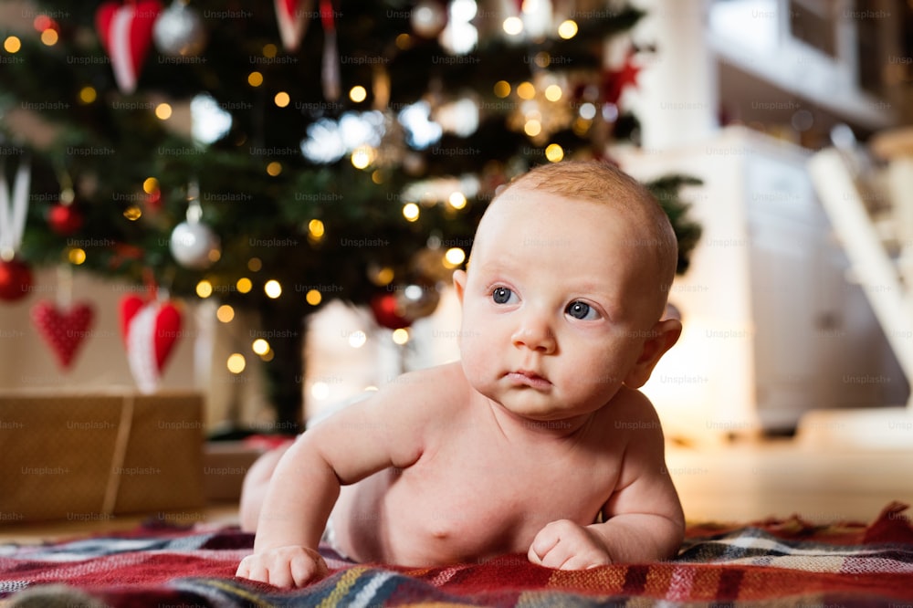 크리스마스 트리 아래 귀여운 아기가 체크무늬 담요에 누워 있다.