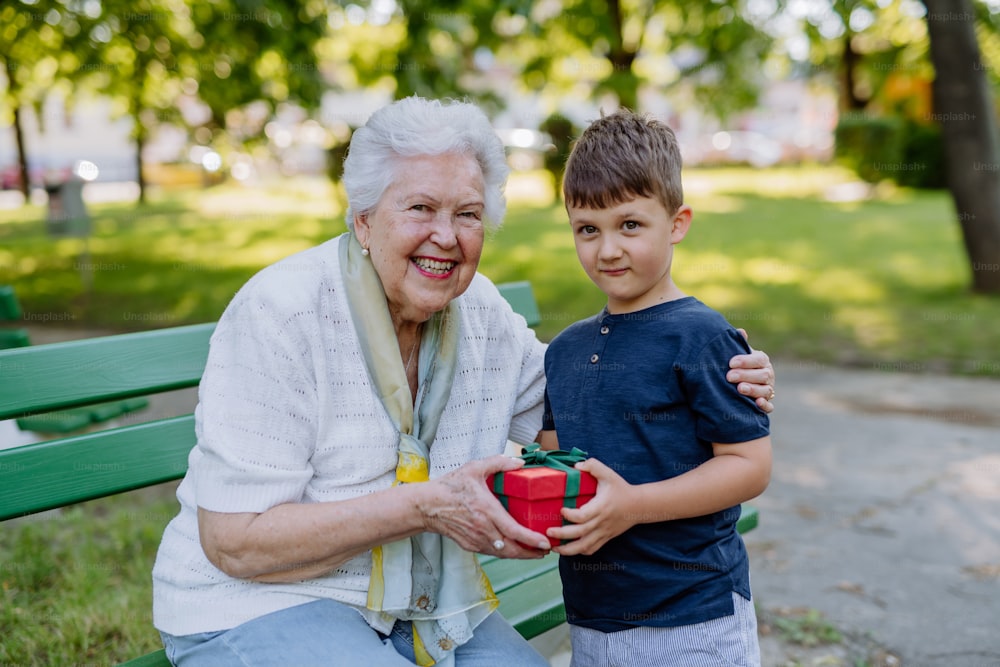 A grandchild surprised her grandmother with a birthday present in the park. Lifestyle, family concept