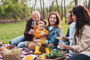 Happy multigeneration family outdoors having picnic in nature, relaxing.