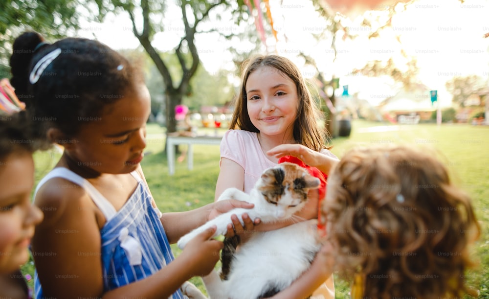 Small children outdoors in garden in summer, holding present pet cat. A celebration concept.