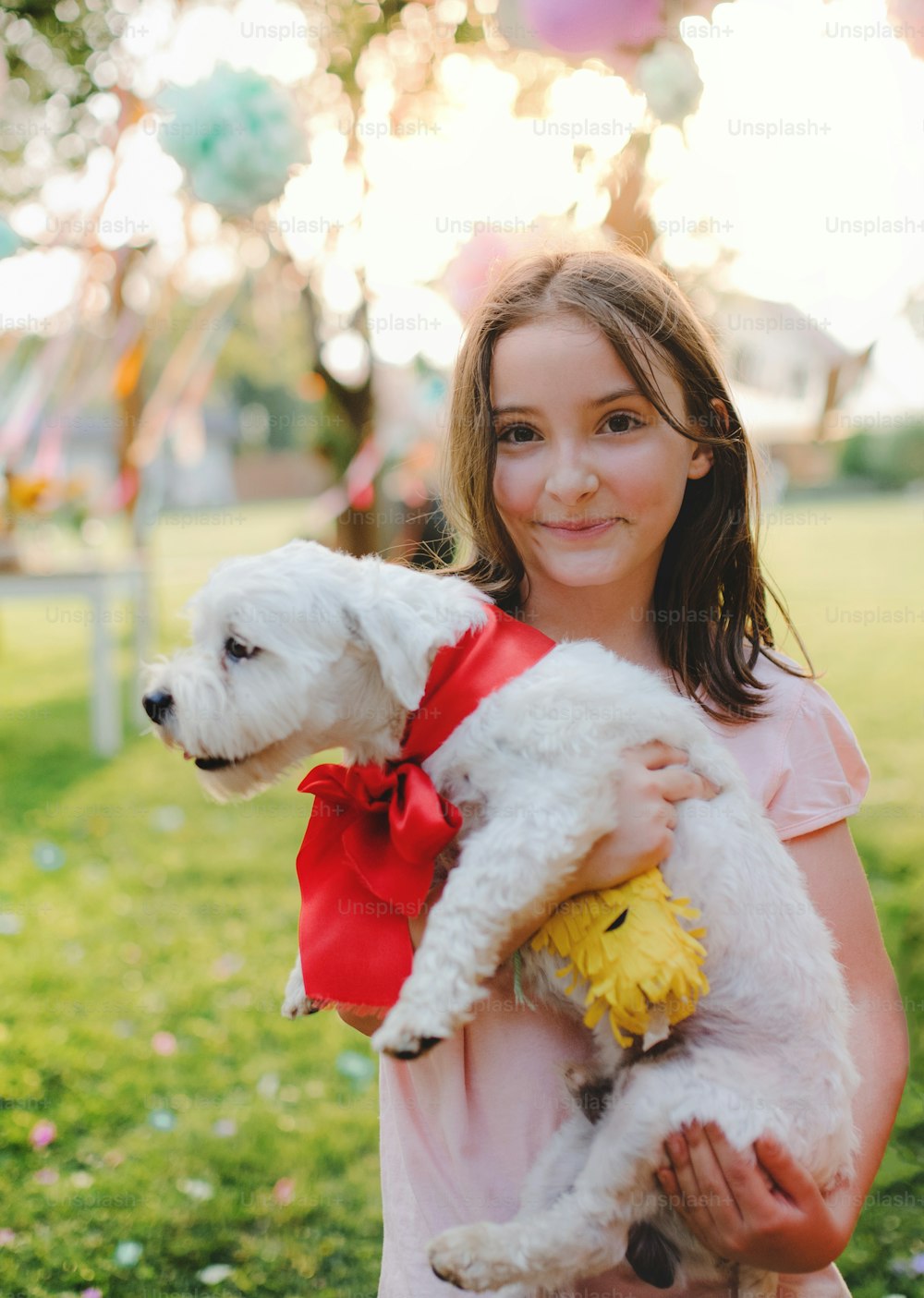 Portrait of small girl with present pet dog outdoors in garden in summer, looking at camera.