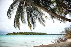 a view of a tropical island from a beach