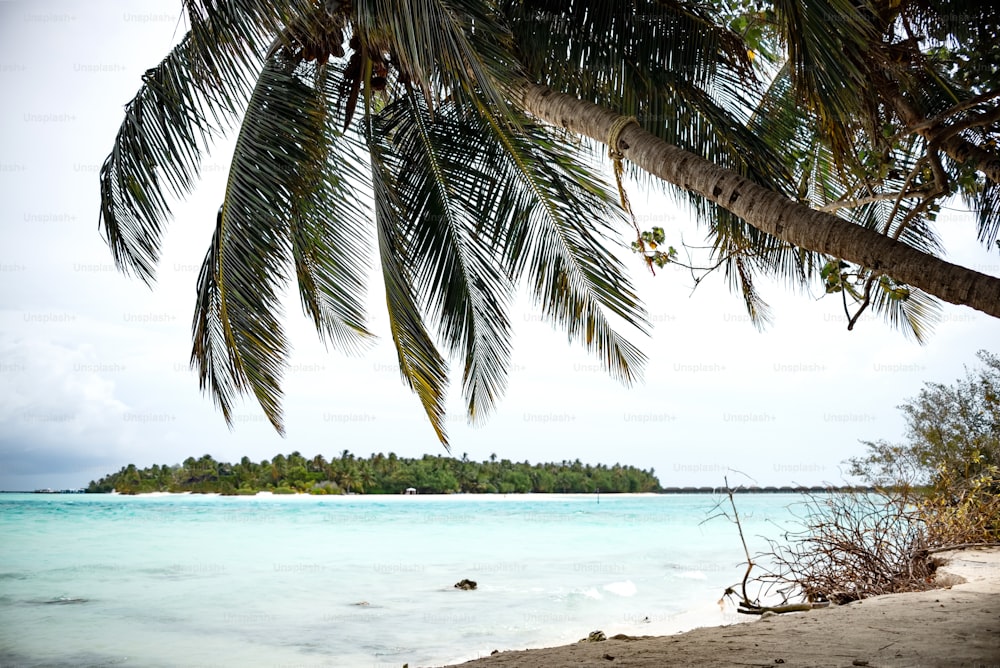 a view of a tropical island from a beach