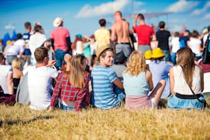 Group of teenagers at summer music festival, sitting on the grass, back view, rear, viewpoint