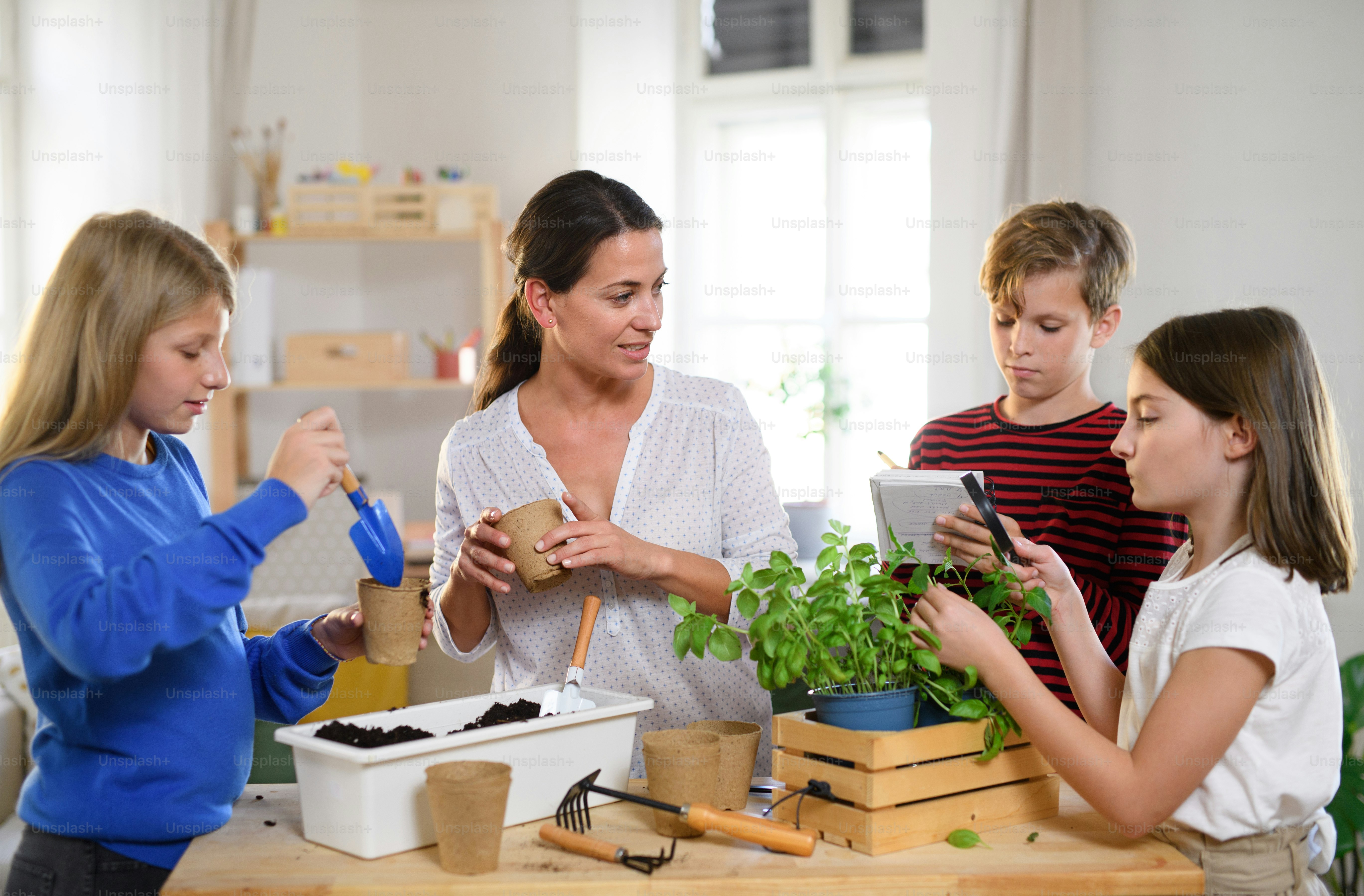 Groupe d’enfants scolarisés à la maison avec un parent enseignant plantant des herbes à l’intérieur, concept de coronavirus.