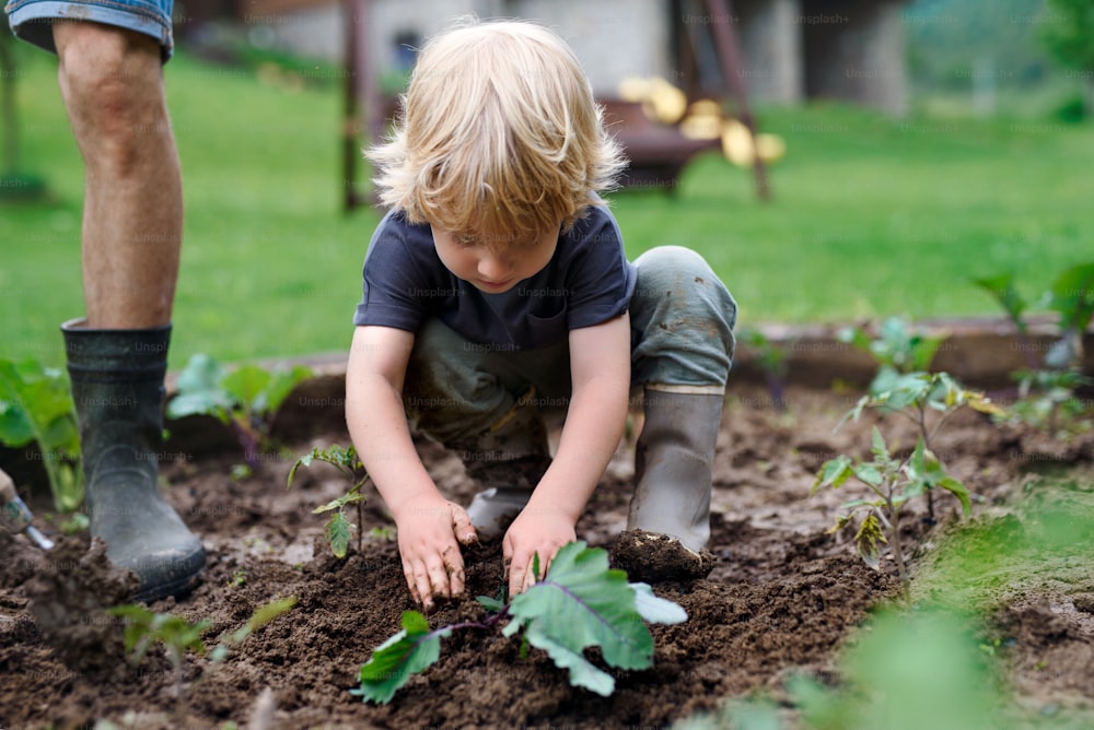 家庭菜園で働く父親を持つ小さな男の子、持続可能なライフスタイル。