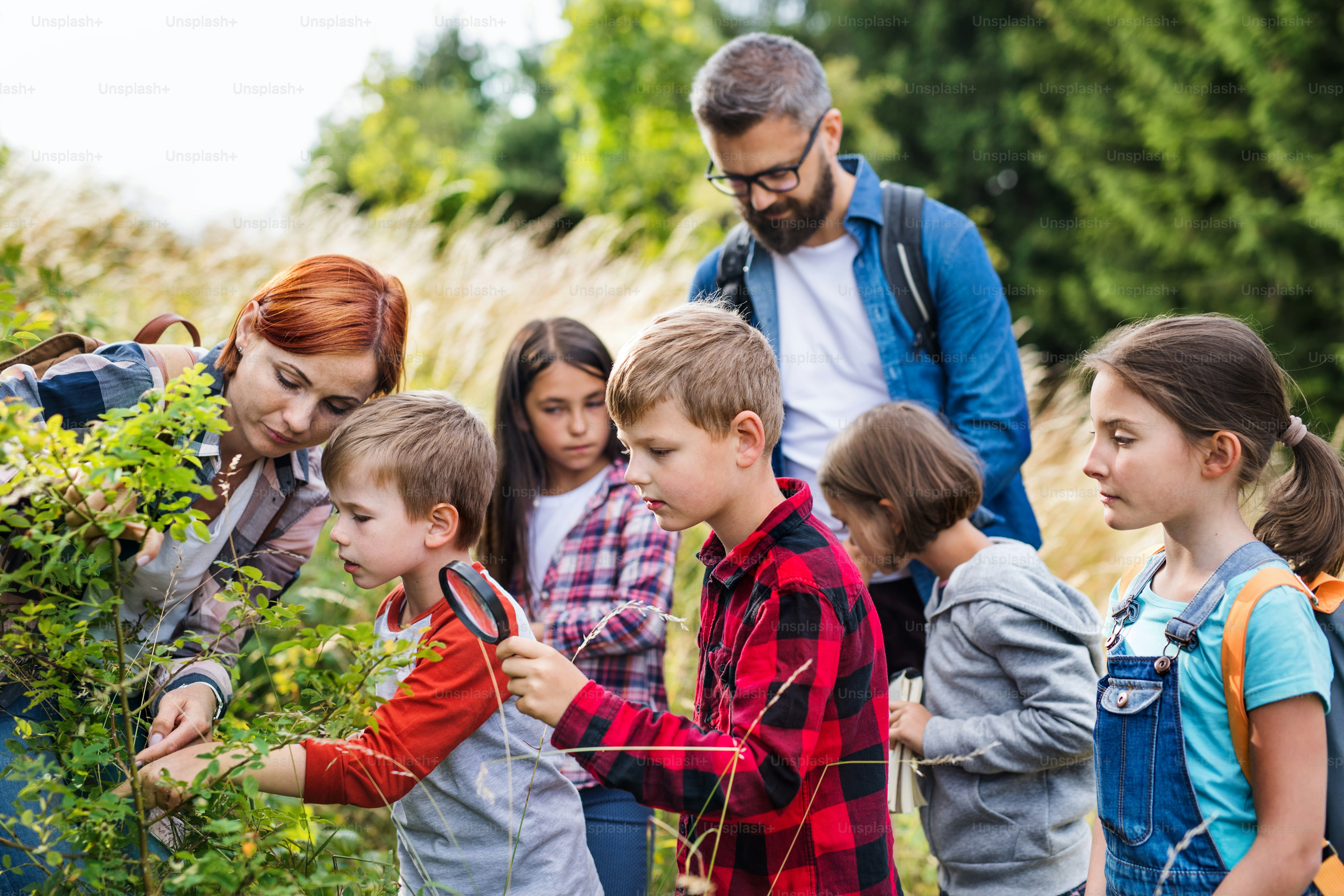 Um grupo de crianças pequenas em idade escolar com professor em viagem de campo na natureza, aprendendo ciências.