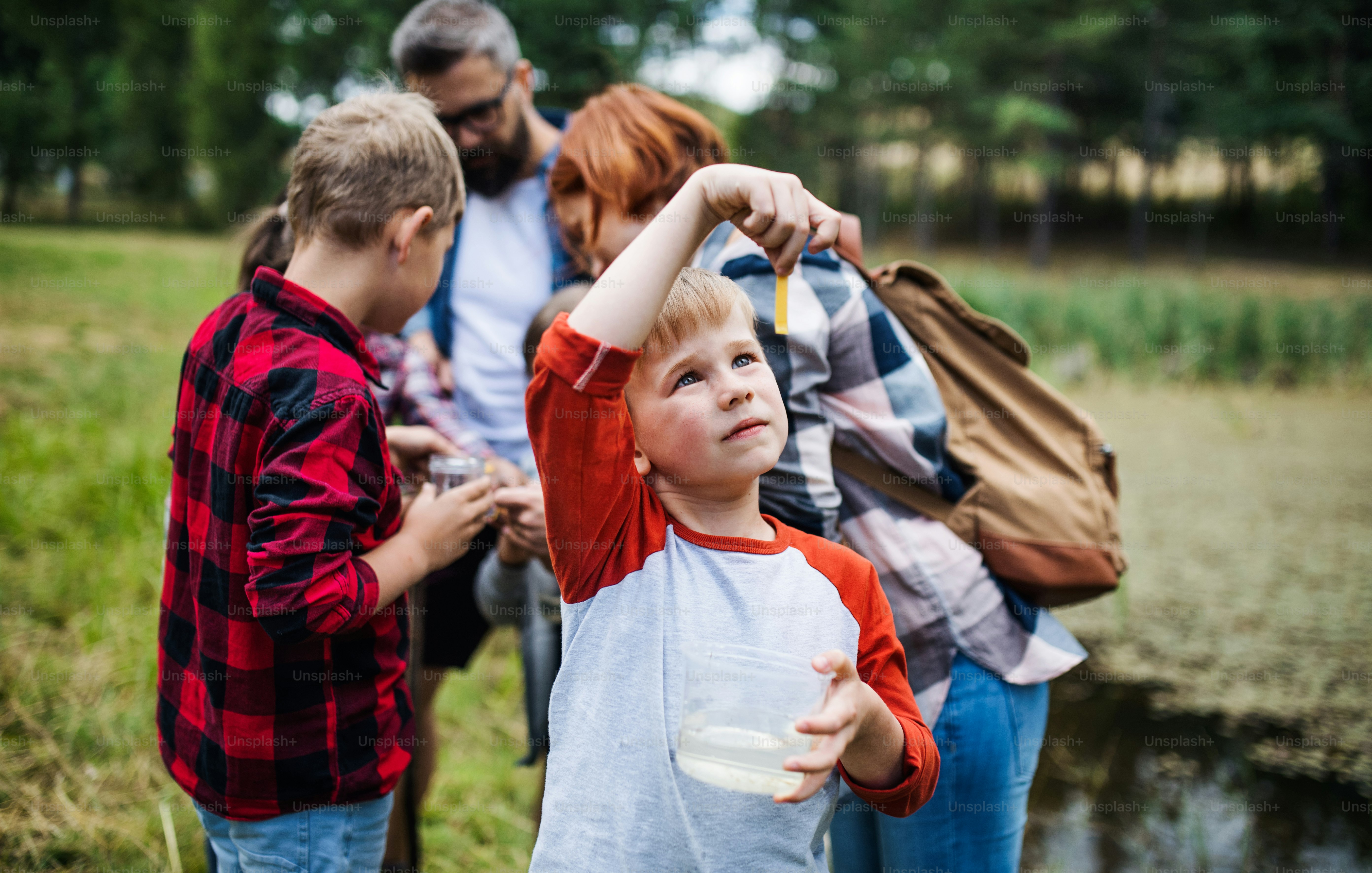 Un groupe de petits écoliers avec un enseignant en excursion dans la nature, apprenant les sciences.