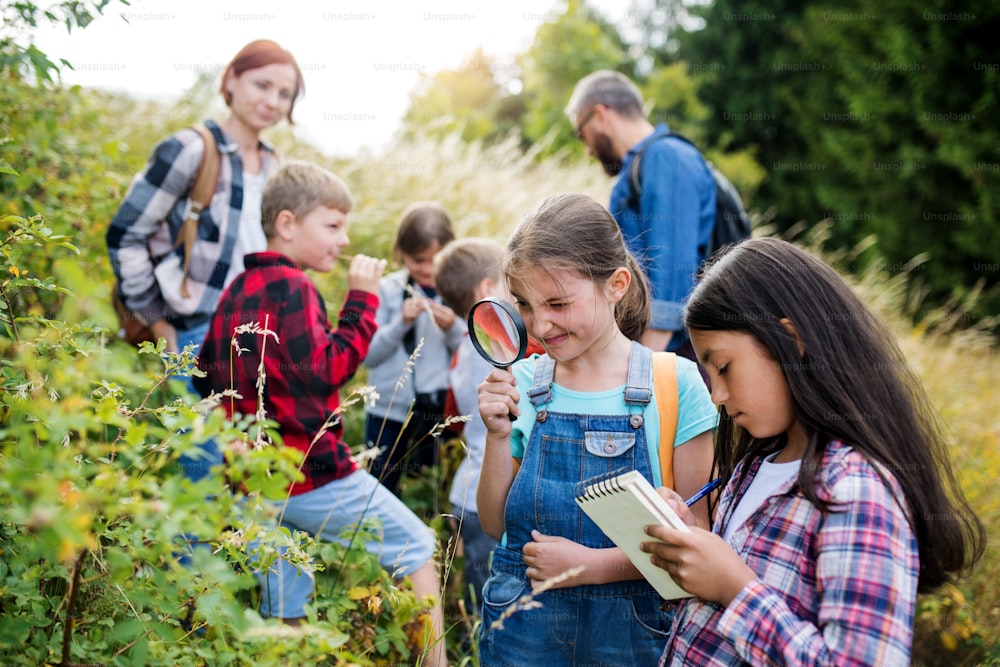 Un grupo de niños pequeños en edad escolar con un maestro en una excursión en la naturaleza, aprendiendo ciencias.