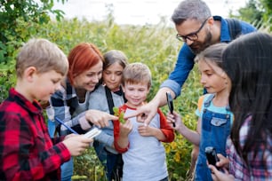 Un grupo de niños pequeños en edad escolar con un maestro en una excursión en la naturaleza, aprendiendo ciencias.