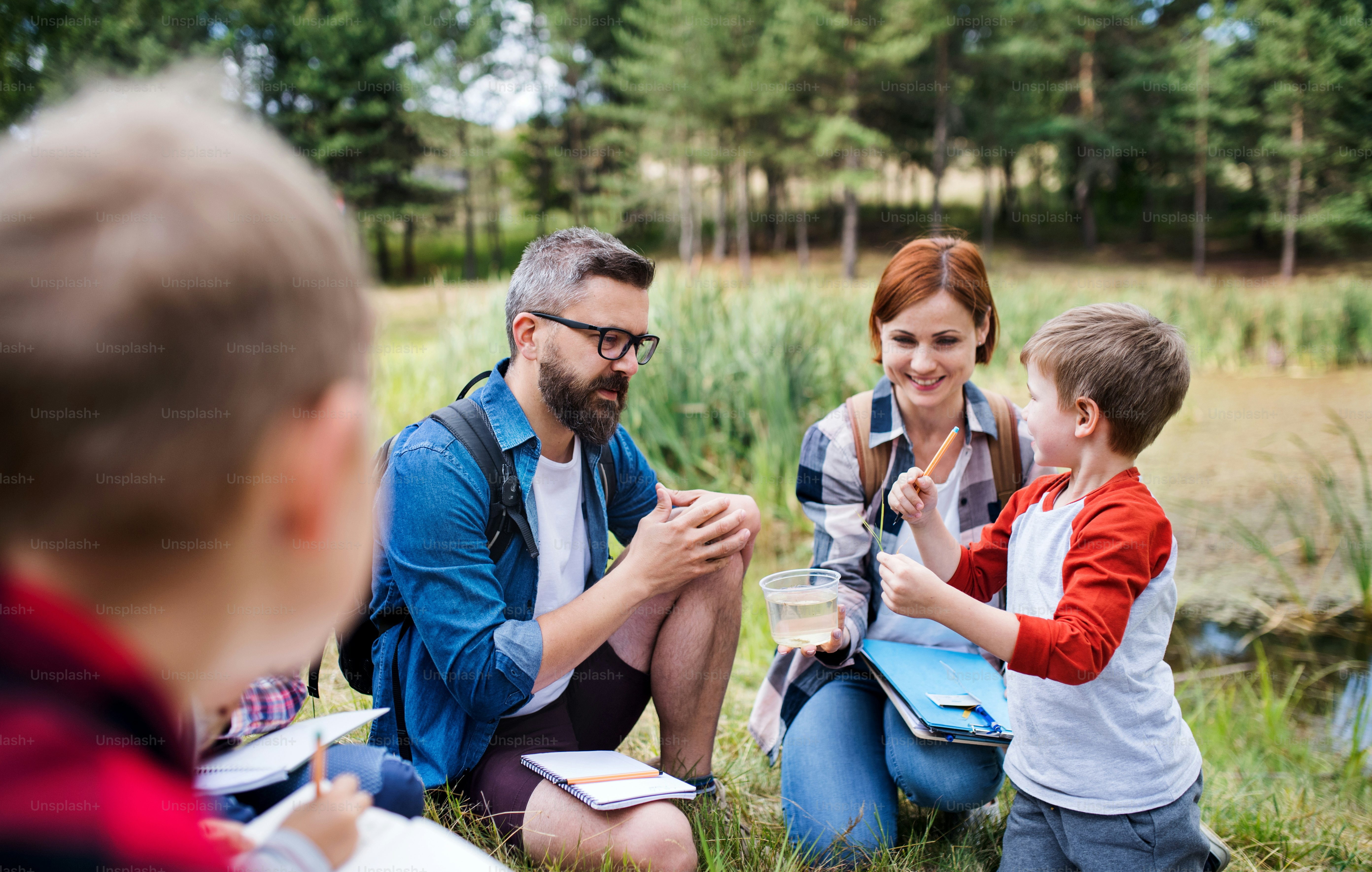 Um grupo de crianças pequenas em idade escolar com professor em viagem de campo na natureza, aprendendo ciências.