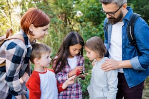 A group of small school children with teacher on field trip in nature, learning science.