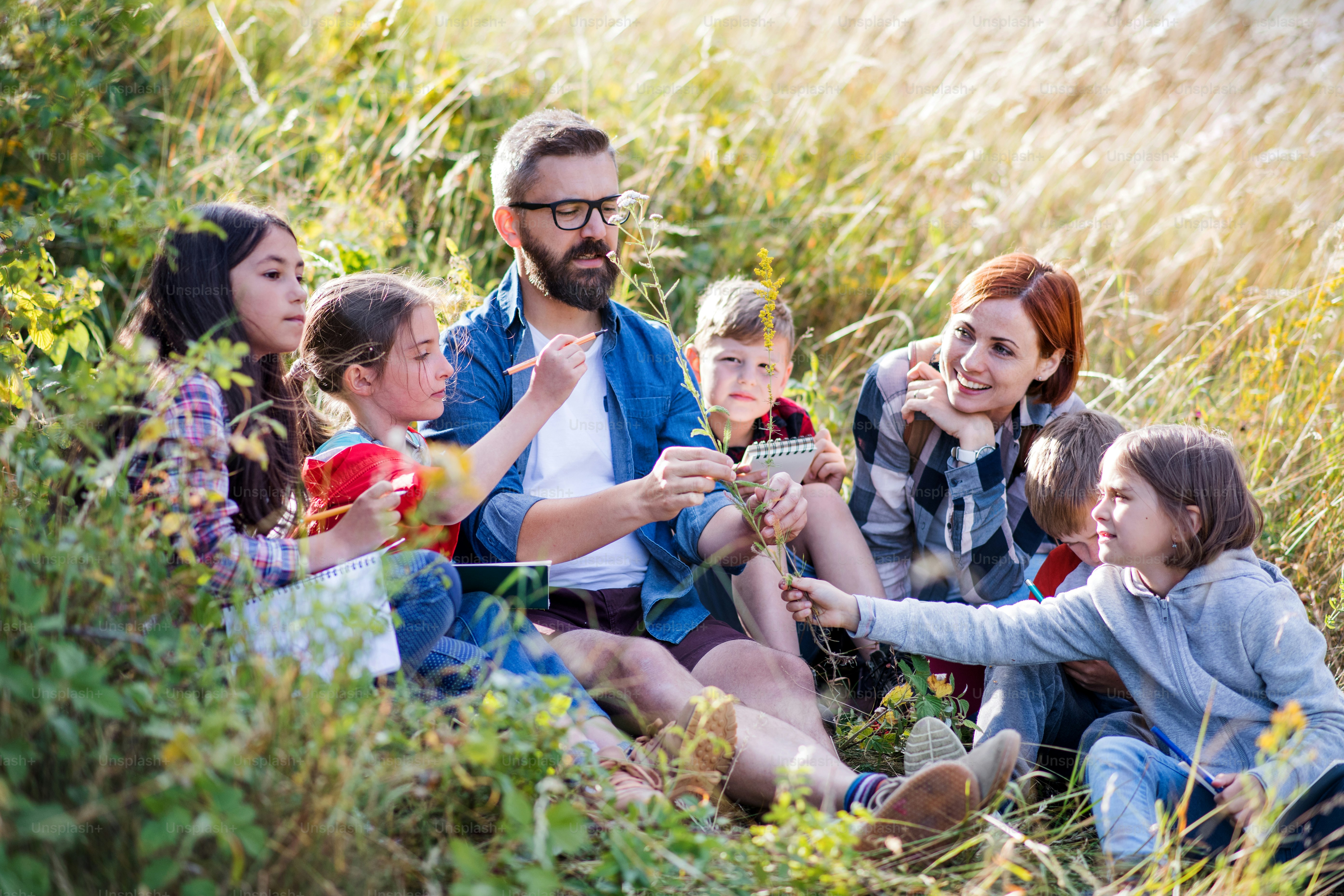 Um grupo de crianças pequenas em idade escolar com professor em viagem de campo na natureza.