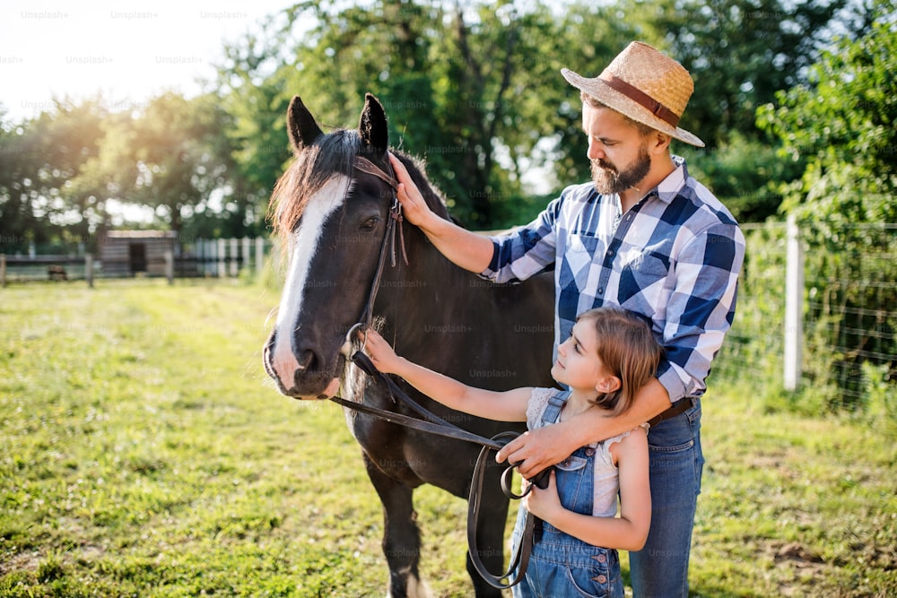 Un padre maduro y una hija pequeña con un caballo trabajando en una pequeña granja de animales de la familia.