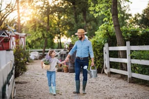 Un padre maturo e una piccola figlia con stivali di gomma che camminano all'aperto in una piccola fattoria di famiglia, tenendosi per mano.