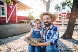 A father with small daughter outdoors on family farm, holding basket with eggs.