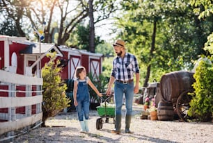 Un padre maduro y una hija pequeña con botas de goma caminando al aire libre en una pequeña granja familiar.