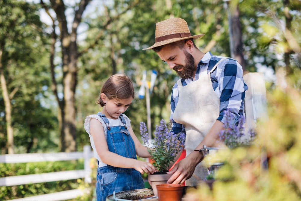 成熟した父親と小さな娘が家族の農場で屋外にいて、ハーブを植えています。