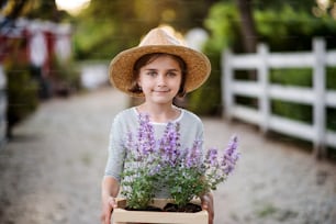 Uma vista frontal da menina pequena com um chapéu em pé ao ar livre na fazenda da família, segurando plantas.
