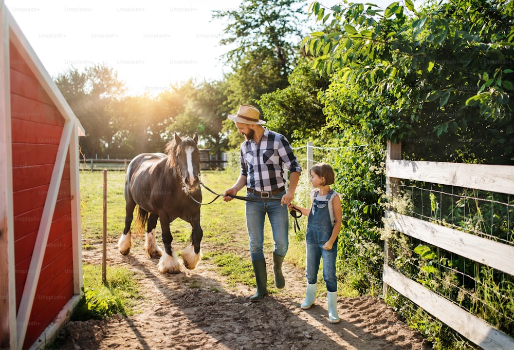 Um pai maduro e uma filha pequena com um cavalo pônei trabalhando na pequena fazenda de animais da família.