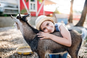 A portrait of happy small girl outdoors on family animal farm, hugging goat.