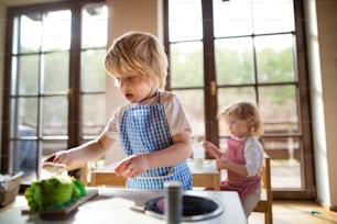 Happy small boy and girl with apron playing indoors with toy kitchen at home.