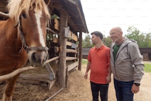 A happy senior father with his adult son with Down syndrome at ranch looking at horse.