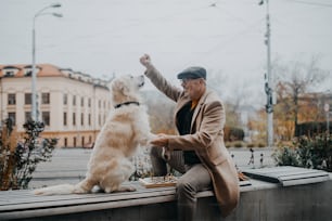 Um homem idoso feliz sentado no banco e treinando seu cão ao ar livre na cidade.