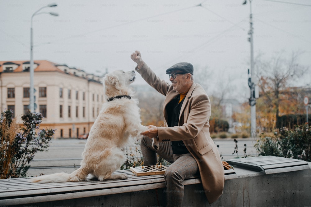 A happy senior man sitting on bench and and training his dog outdoors in city.