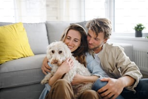 A happy young couple in love with dog indoors at home, resting.