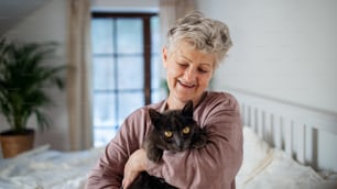 Portriat of happy senior woman with cat resting in bed at home.