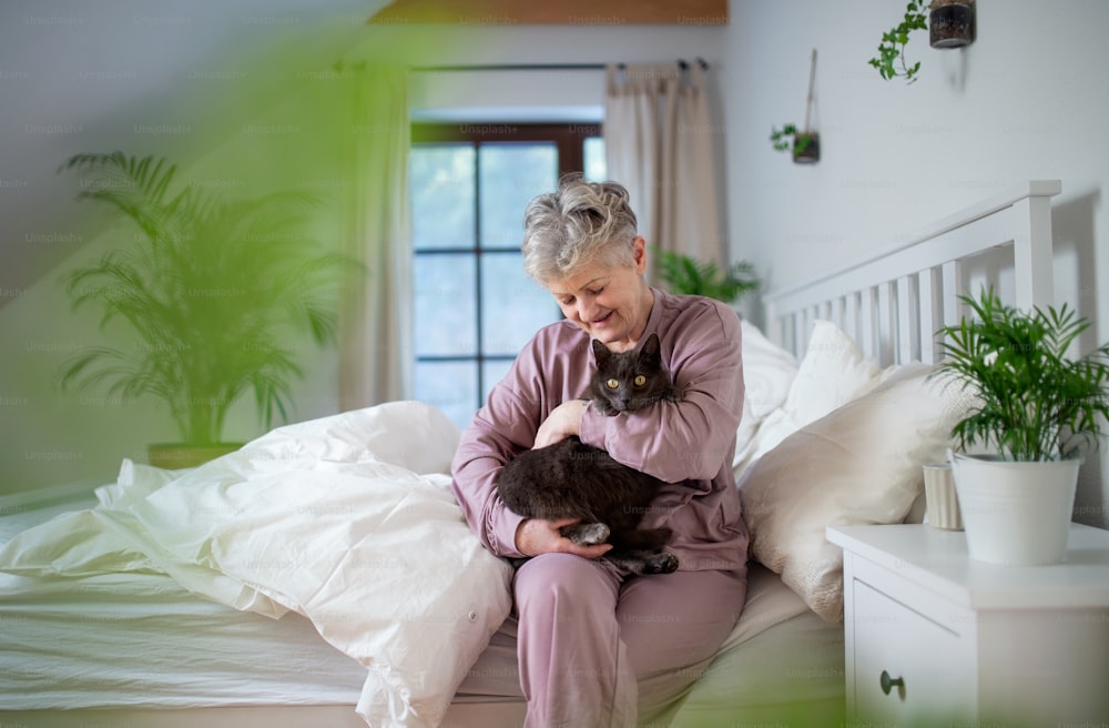 Portriat di donna anziana felice con gatto che riposa nel letto a casa.