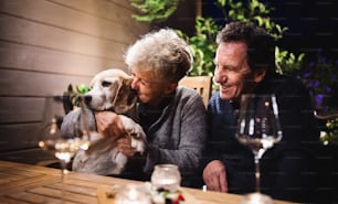 Portrait d’un couple de personnes âgées avec chien le soir en terrasse, buvant du vin.