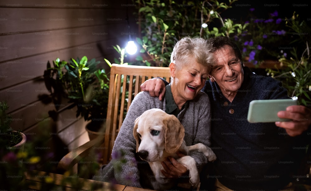 Portrait of senior couple with dog in the evening on terrace, taking selfie.