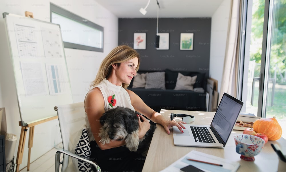 Vista frontal da mulher madura com cão de estimação trabalhando dentro de casa no escritório em casa na casa do contêiner no quintal.