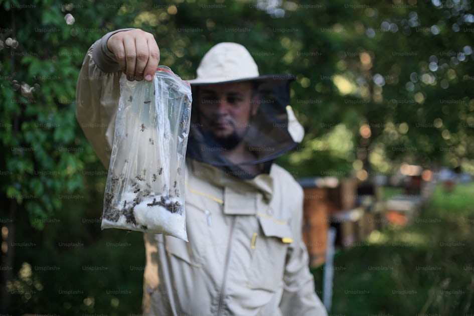 Foto Retrato frontal del apicultor que trabaja en el colmenar
