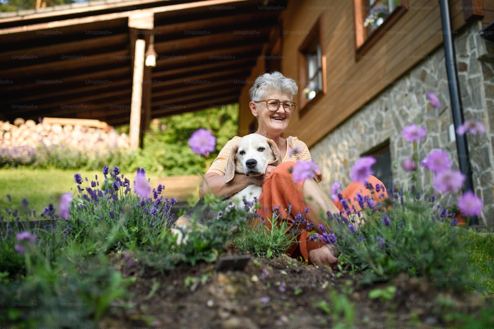 Portrait of senior woman sitting outdoors in garden, pet dog friendship concept.